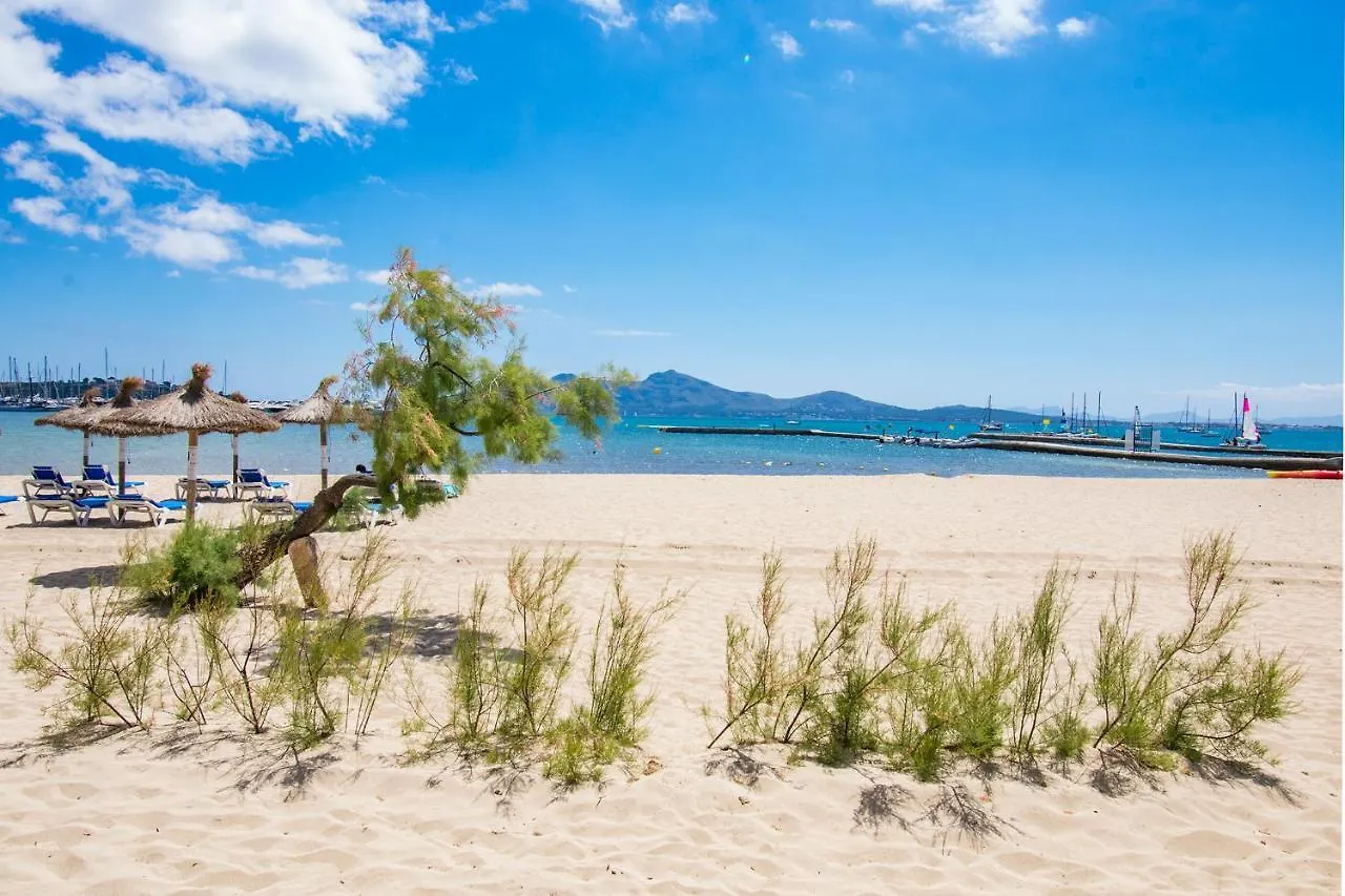 Apartment La Bugambilia Port de Pollença Spanien